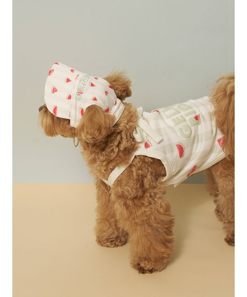 gelato pique（ジェラートピケ） 犬 服 「CAT＆DOG」ソフトサン