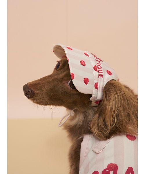 gelato pique（ジェラートピケ） 犬 服 「CAT＆DOG」ソフトサン