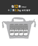 AO Coolers/エーオークーラーズ 12...の詳細画像5