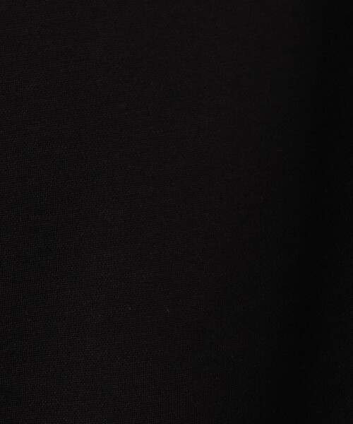 tシャツ CABaN スビンコットン FLOWERSモチーフTシャツ メンズの画像