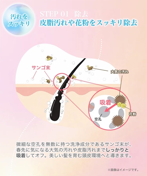 シャンプー haru kurokamiスカルプシャンプー スプリングレシピ