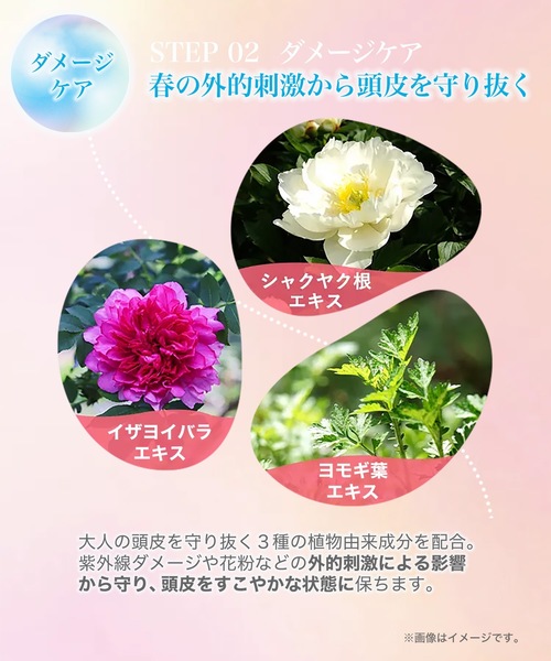 シャンプー haru kurokamiスカルプシャンプー スプリングレシピ