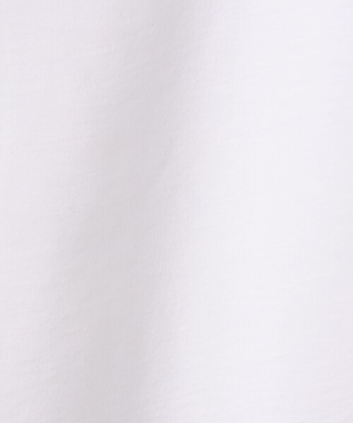 tシャツ CABaN スビンコットン GREEN SHOWERプリントTシャツ メンズの画像