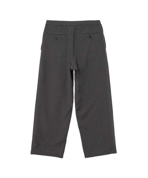 DAIWA PIER39（ダイワ ピア39） パンツ TECH WIDE EASY 2P TROUSERS BP