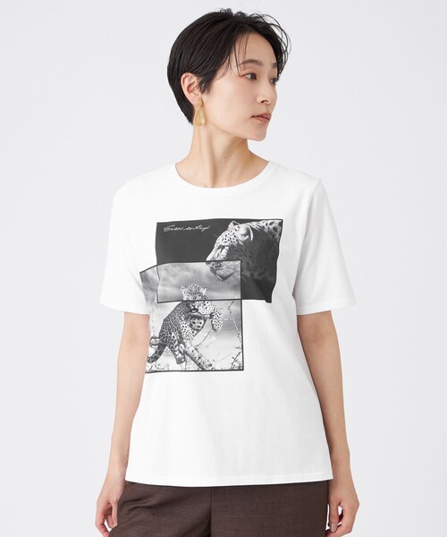 EVEX by KRIZIA（エヴェックスバイクリツィア） tシャツ 半袖 「接触冷