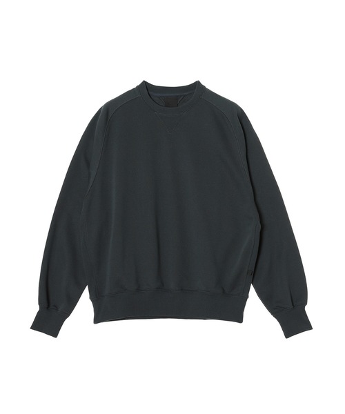 DAIWA PIER39（ダイワ ピア39） tシャツ TECH SWEAT CREW FREEDOM