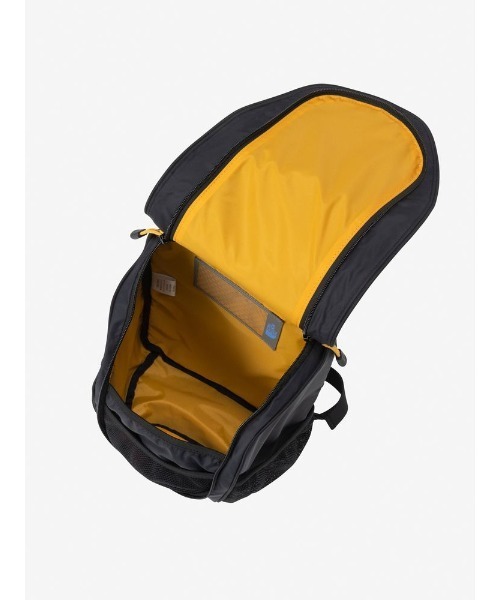 THE NORTH FACE（ザ ノースフェイス） ノースフェイス リュック 「THE