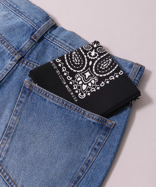 bfgf バンダナ HAV-A-HANK ハバハンク 15713900 MADE IN U.S.A. DOTS BANDANNA