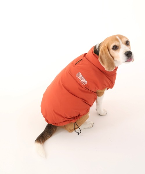 犬 服 REVERSIBLE DOWN VEST/リバーシブルダウンジャケットの画像