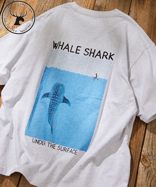 Jonas Claesson WHALE SHARK額装 Whale Shark Art Print - Jonas Claesson – Jonas Claesson Shop