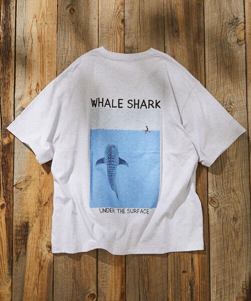 Jonas Claesson WHALE SHARK額装 Jonas Claesson WHALE SHARK額装 - メルカリ