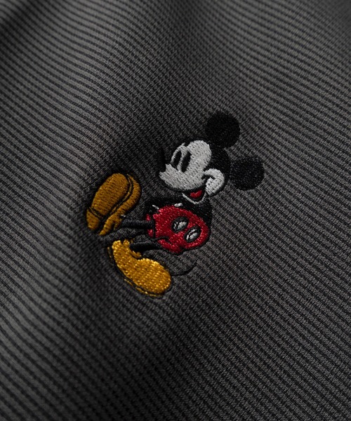 【アメリカ限定】Disneyland パーカー 刺繍ロゴ入り アメリカ限定】Disneyland パーカー 刺繍ロゴ入り【新品未使用