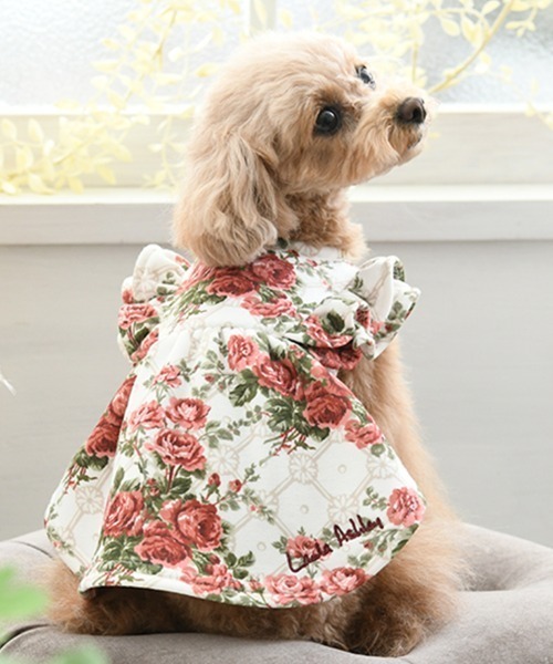 LAURA ASHLEY（ローラアシュレイ） 犬 服 LAURA ASHLEY/裏起毛フリル