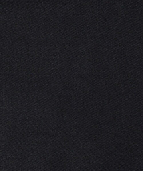 CABaN（キャバン） ブラウス シャツ タイプライターダブルクロス