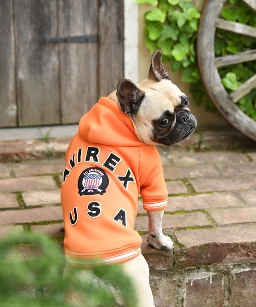 AVIREX（アヴィレックス） 犬 服 AVIREX/バーシティ―パーカー