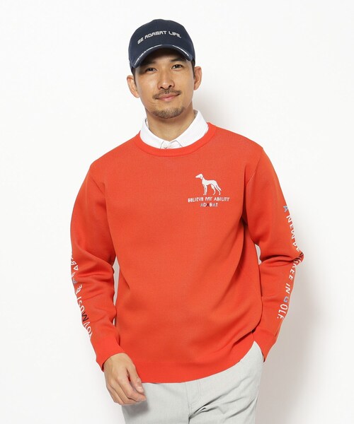 adabat（アダバット） セーター ニット ウォッシャブル素材 サルーキ