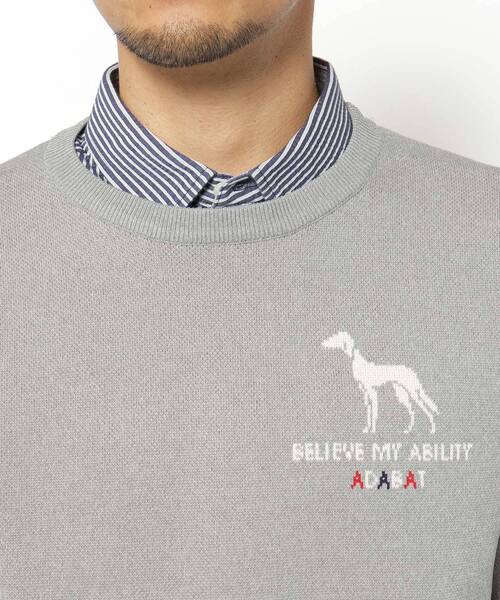 adabat（アダバット） セーター ニット ウォッシャブル素材 サルーキ