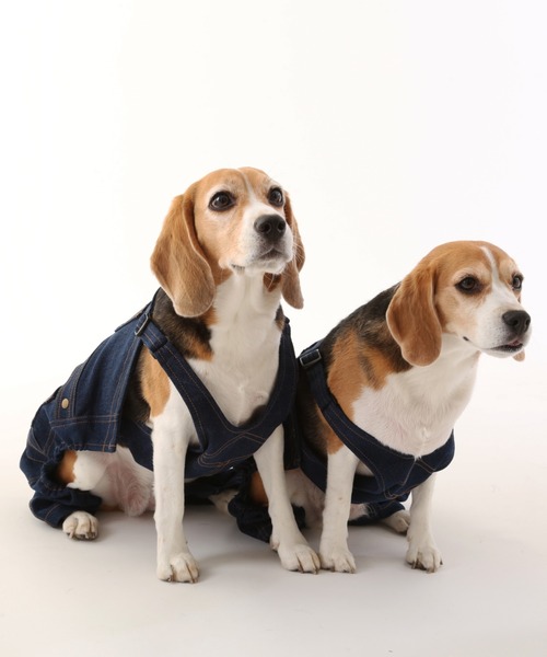 UNIVERSAL OVERALL（ユニバーサルオーバーオール） 犬 服 DENIM