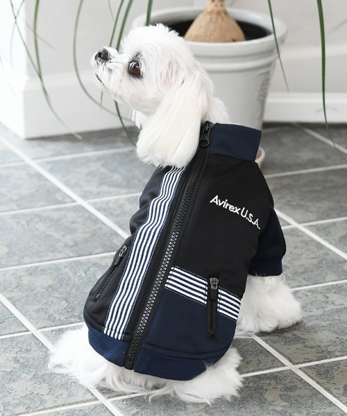AVIREX 犬 服 AVIREX/トラックジャケットクロスオーバー