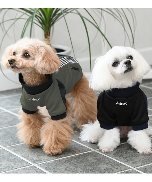 AVIREX 犬服 4枚セット 新品未使用 AVIREX（アヴィレックス） 犬 服 AVIREX/トラックジャケットクロス