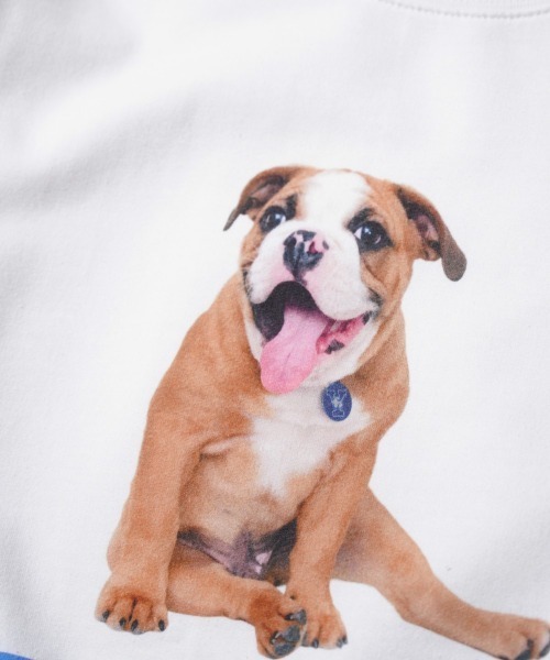 【ブルドッグストア】 SUNNY SPORTS（サニースポーツ） トレーナー スウェット The BOOK