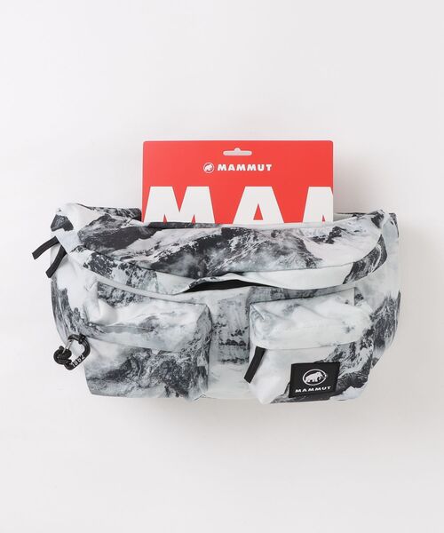 MAMMUT（マムート） ウエストポーチ メンズ レディース : ZOZOTOWN