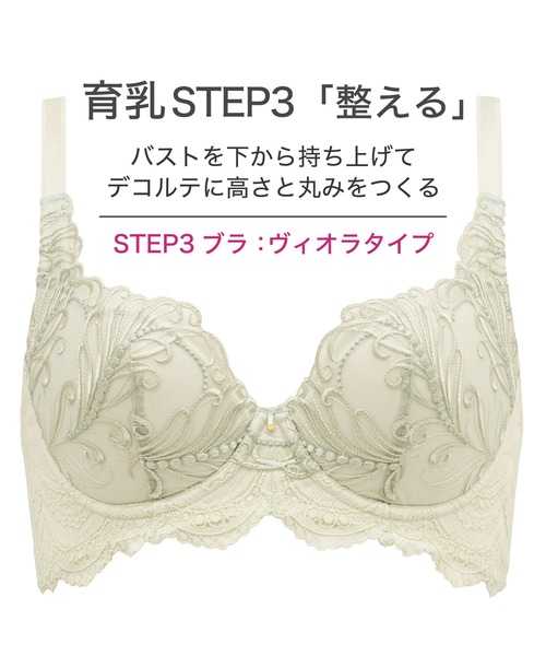 BRADALIS New York ブラジャー3点セット　新品 BRADELIS NewYork ブラジャー ヴィオラステップ3ブラ ブラデリス