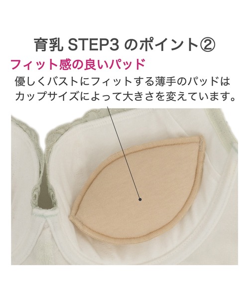BRADELIS NewYork ブラジャー ヴィオラステップ3ブラ24A1