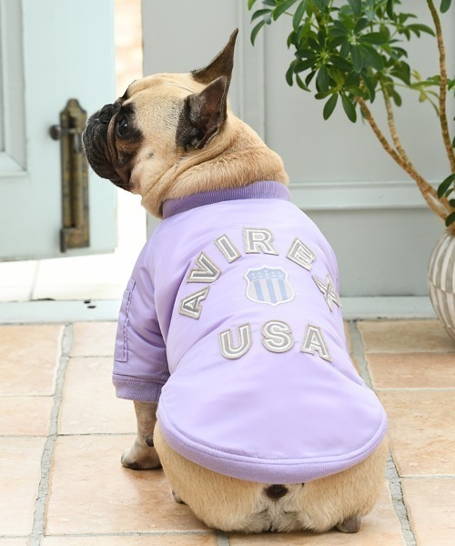 AVIREX（アヴィレックス） 犬 服 AVIREX/シグネチャーロゴMA-1