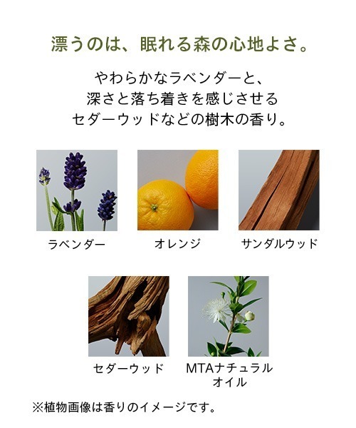 美容液 オイル クリーム フィトスリーピングクリーム