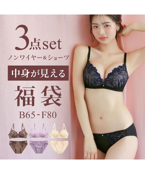 ブラ＆ショーツ セット (C80/L-D85/LL) 刺しゅう レース フル