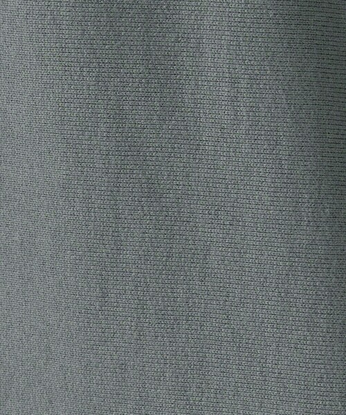 STEVEN ALAN トレーナー スウェット 「Steven Alan」 ウラケ