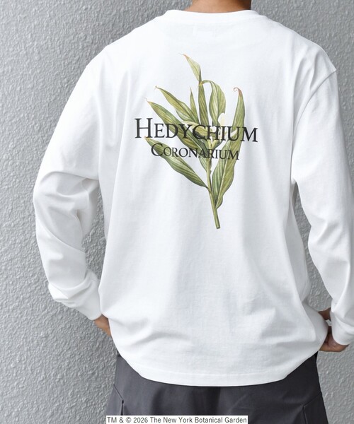 SHIPS any tシャツ 「SHIPS any別注」NYBG: ボタニカル プリント