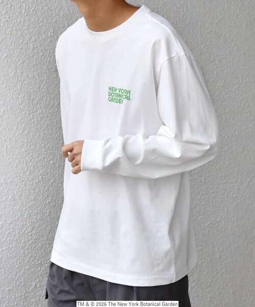 SHIPS any tシャツ 「SHIPS any別注」NYBG: ボタニカル プリント