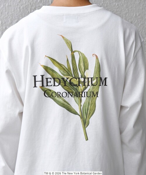 SHIPS any tシャツ 「SHIPS any別注」NYBG: ボタニカル プリント