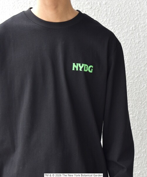 SHIPS any tシャツ 「SHIPS any別注」NYBG: ボタニカル プリント