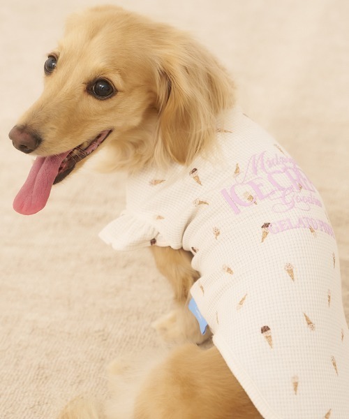 gelato pique 犬 服 「CAT＆DOG」ダックスフンドサイズアイス柄
