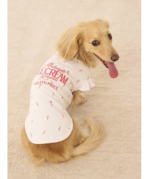 GELATO PIQUE チワワプリント スウェット & パンツセット GELATO PIQUE 犬プリント スウェット＆パンツ セットチワワ