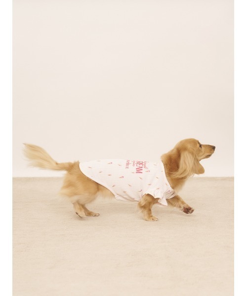 gelato pique 犬 服 「CAT＆DOG」ダックスフンドサイズアイス柄