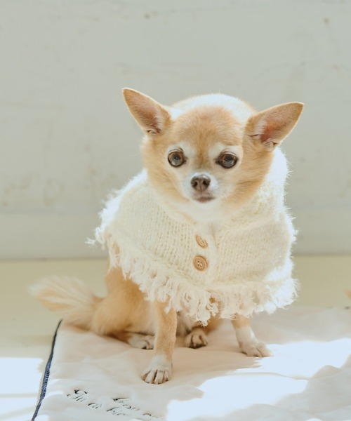 ROPE' PICNIC（ロペ ピクニック） 犬 服 「DOG」ニットポンチョ