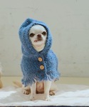 犬 服 「DOG」ニットポンチョの詳細画像4