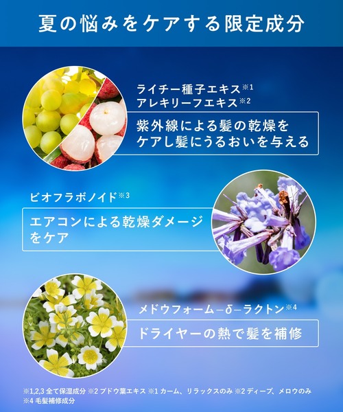YOLU（ヨル） シャンプー 「数量限定」 トリーツ サマー ディープ
