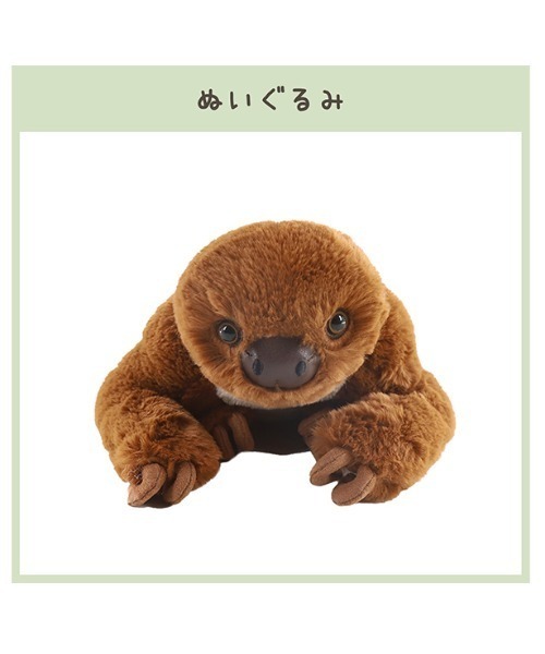 おもちゃ 「ただのなまけもの」監修 フタユビナマケモノ ぬいぐるみ