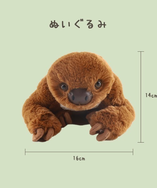 おもちゃ 「ただのなまけもの」監修 フタユビナマケモノ ぬいぐるみ