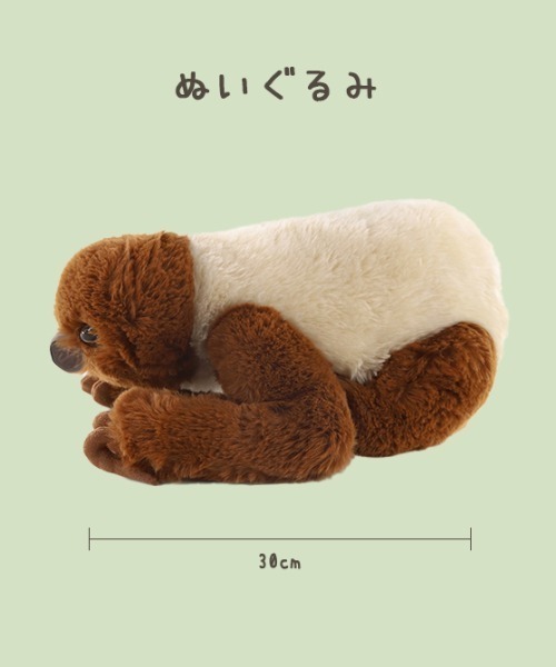 おもちゃ 「ただのなまけもの」監修 フタユビナマケモノ ぬいぐるみ