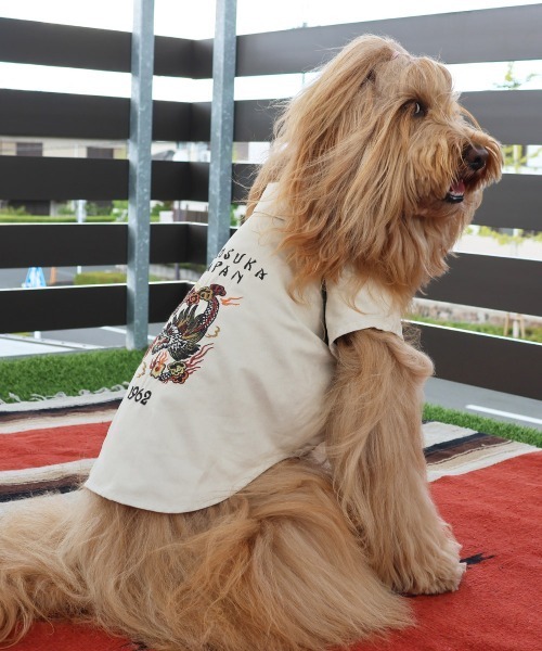 KRIFF MAYER（クリフメイヤー） 犬 服 「犬服・前開き・着脱簡単」DOG