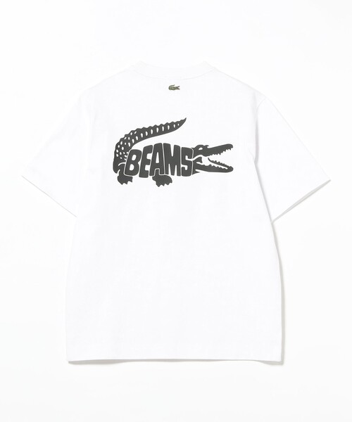 LACOSTE（ラコステ） tシャツ 「別注」LACOSTE / ロゴ Tシャツ メンズ
