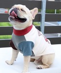 犬 服 「犬服・ストレッチ・着脱簡単」DOGも...の詳細画像2