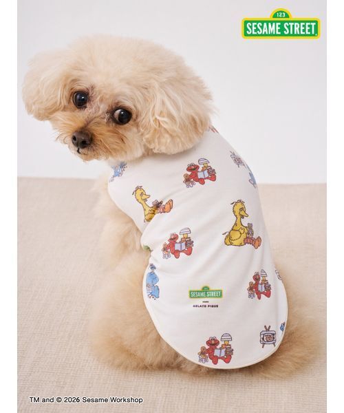 gelato pique（ジェラートピケ） 犬 ハーネス リード 「SESAME STREET