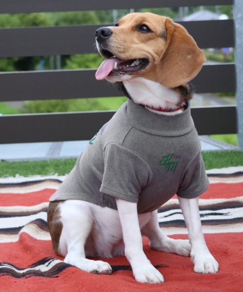 ZOZOTOWN Yahoo!店 - ペットウェア｜Yahoo!ショッピング